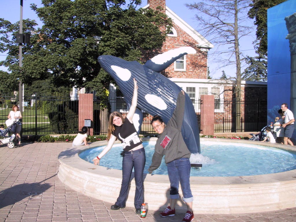 whale.jpg